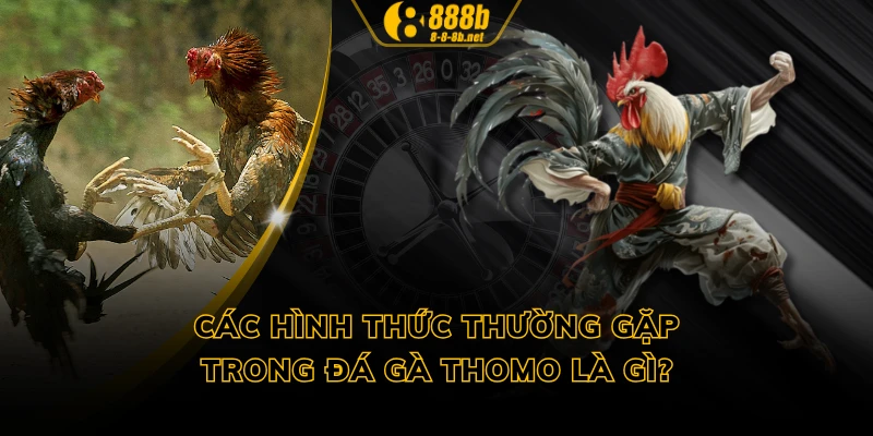 Các hình thức thường gặp trong đá gà Thomo là gì?