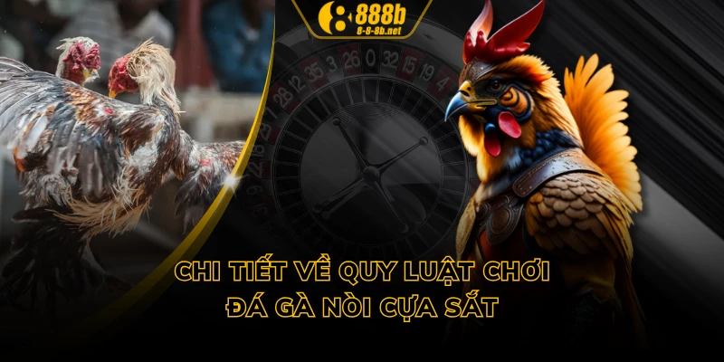 Chi tiết về quy luật chơi đá gà nòi cựa sắt