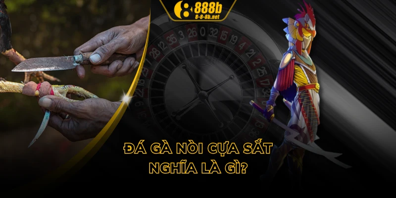 Đá gà nòi cựa sắt nghĩa là gì?