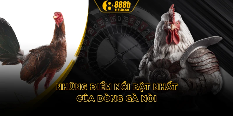 Những điểm nổi bật nhất của dòng gà nòi